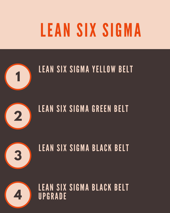 Lean Six Sigma