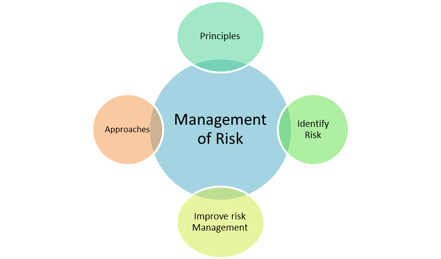 management of risk